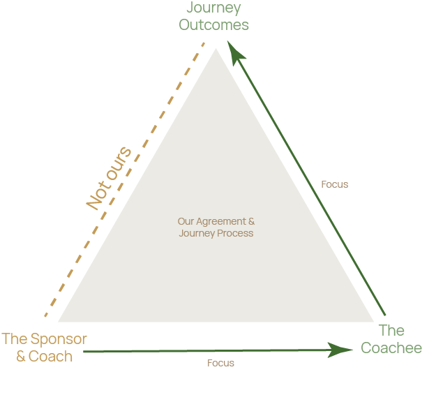 The Coachee focuses on their outcomes while the coach and sponsor focus on the coachee and the structure of the triangle itself. The Sponsor also focuses on how the triangle fits into the organisational shape to ensure ROI and applicability of the journey to the needs of the organisation.