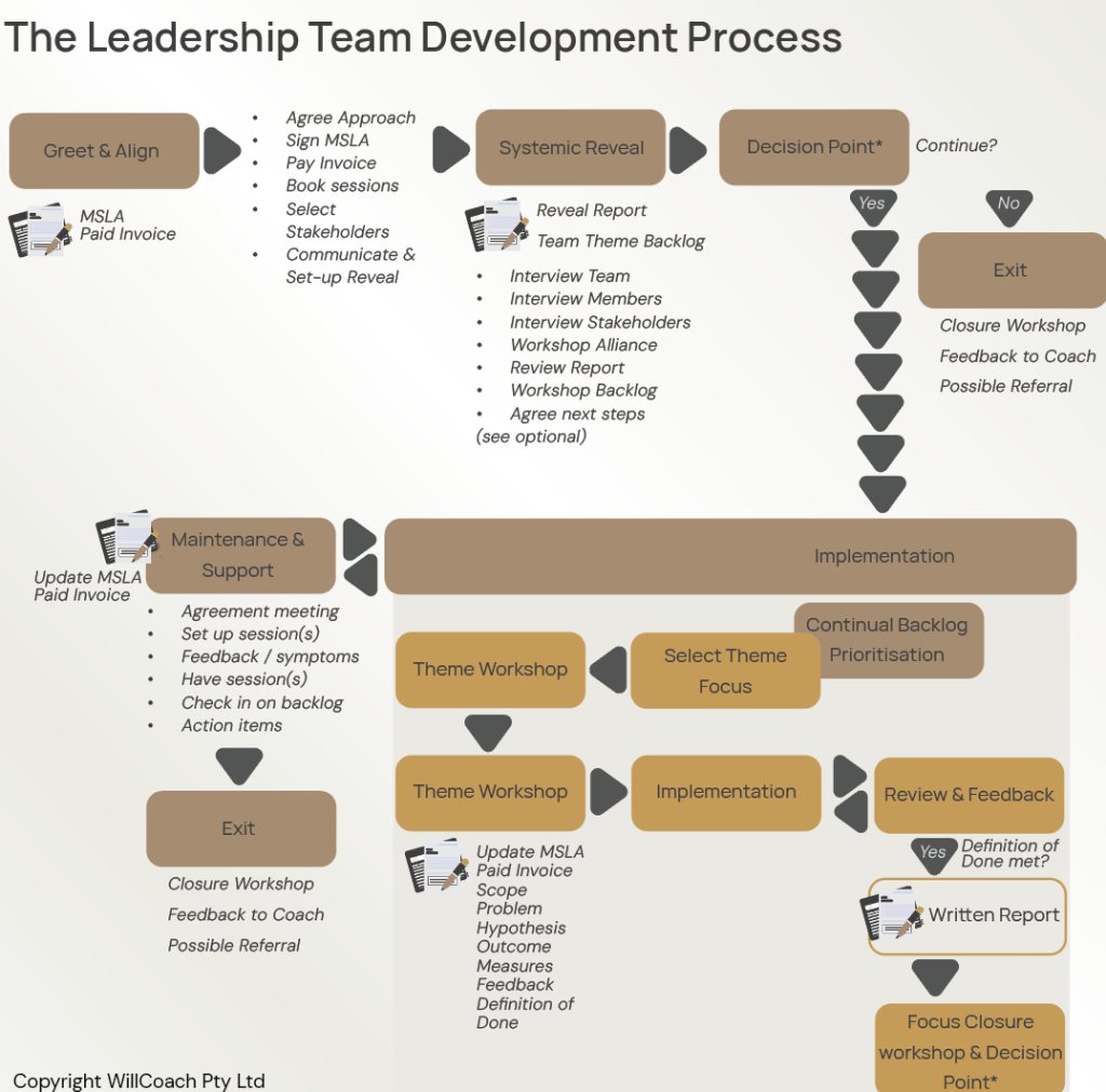 The Leadership Team Development Journey Process